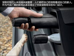 铲屎官立正 宠物出行车载品大全