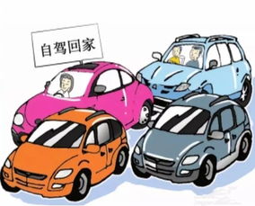 文明出行,您是合格居民吗