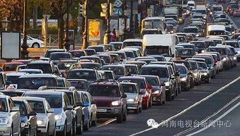 这样出行省得堵心 快收藏哟